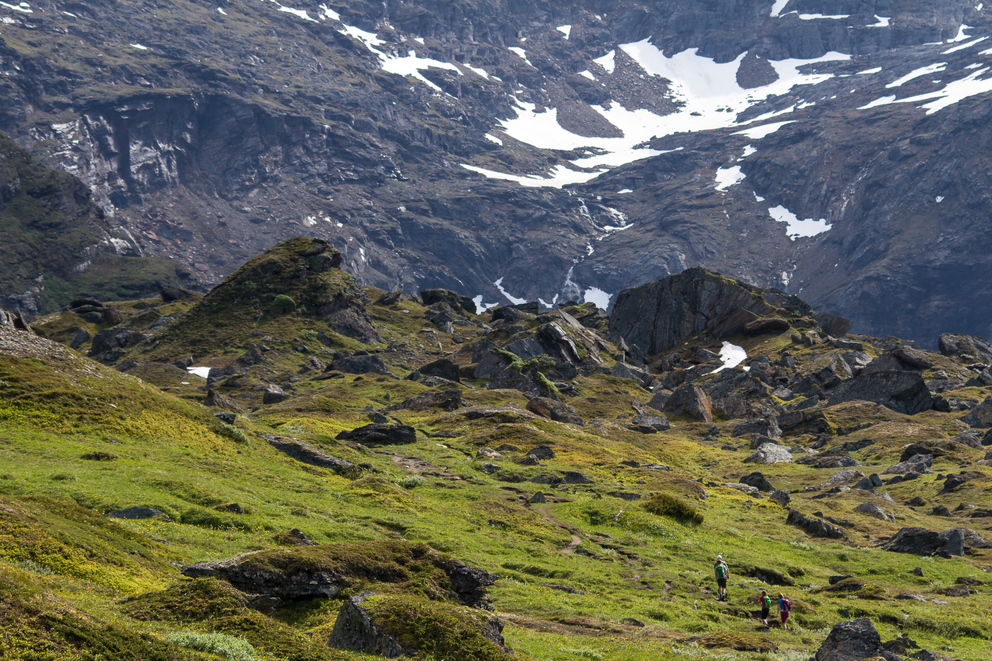 Green meadows and boulders in hiding lake Trollsjön in Kärkevagge, Swedish Lapland.