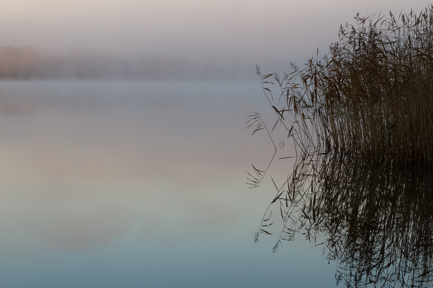A calm, misty lake at dawn