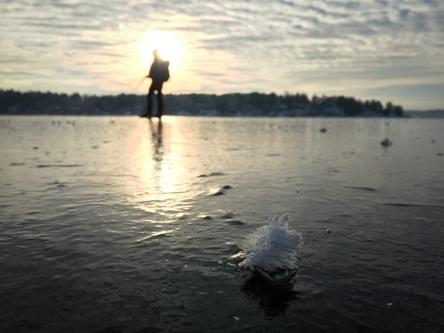 Frostros och långfärdsskridskoåkare
