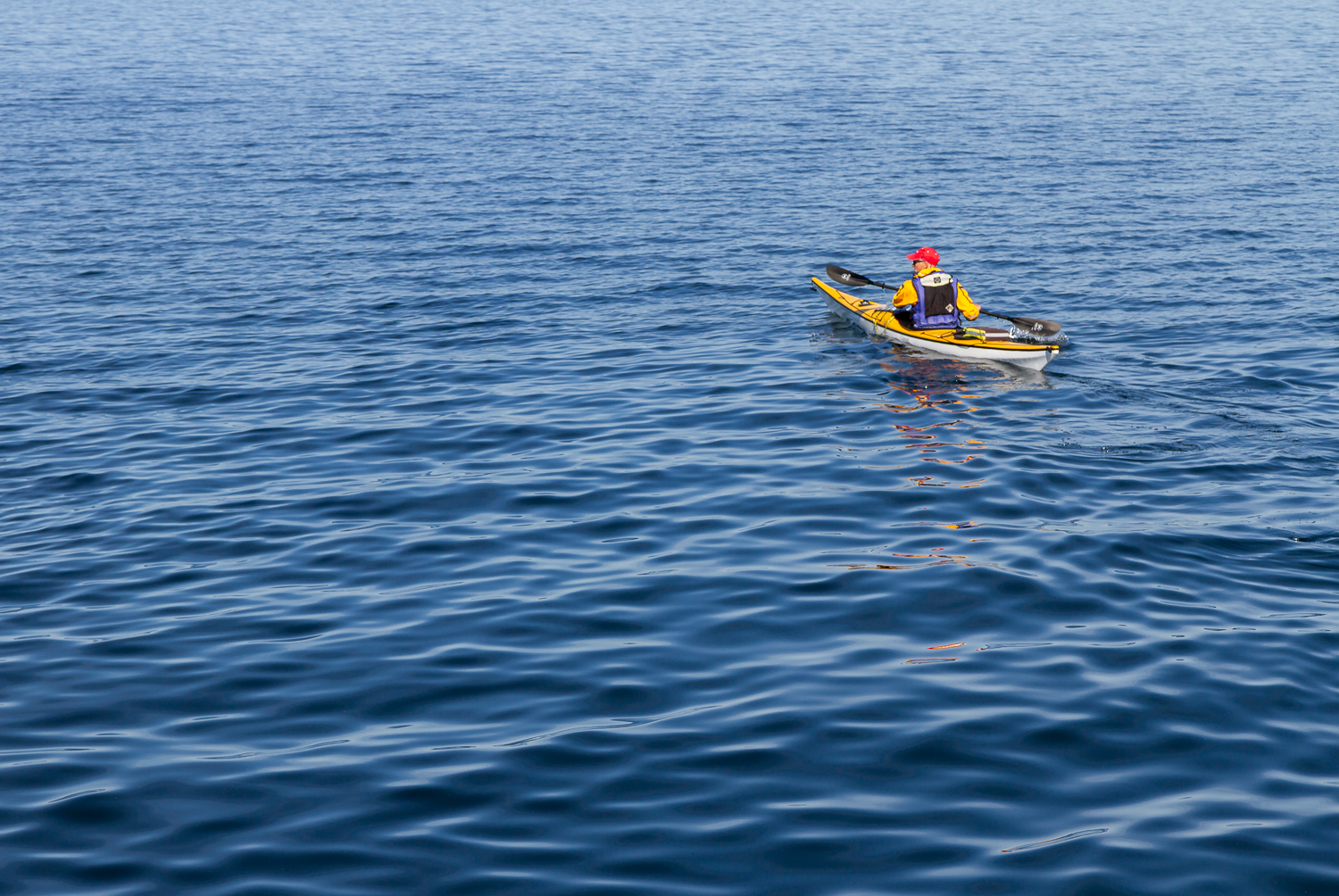 Kajakpaddlare på blått vatten