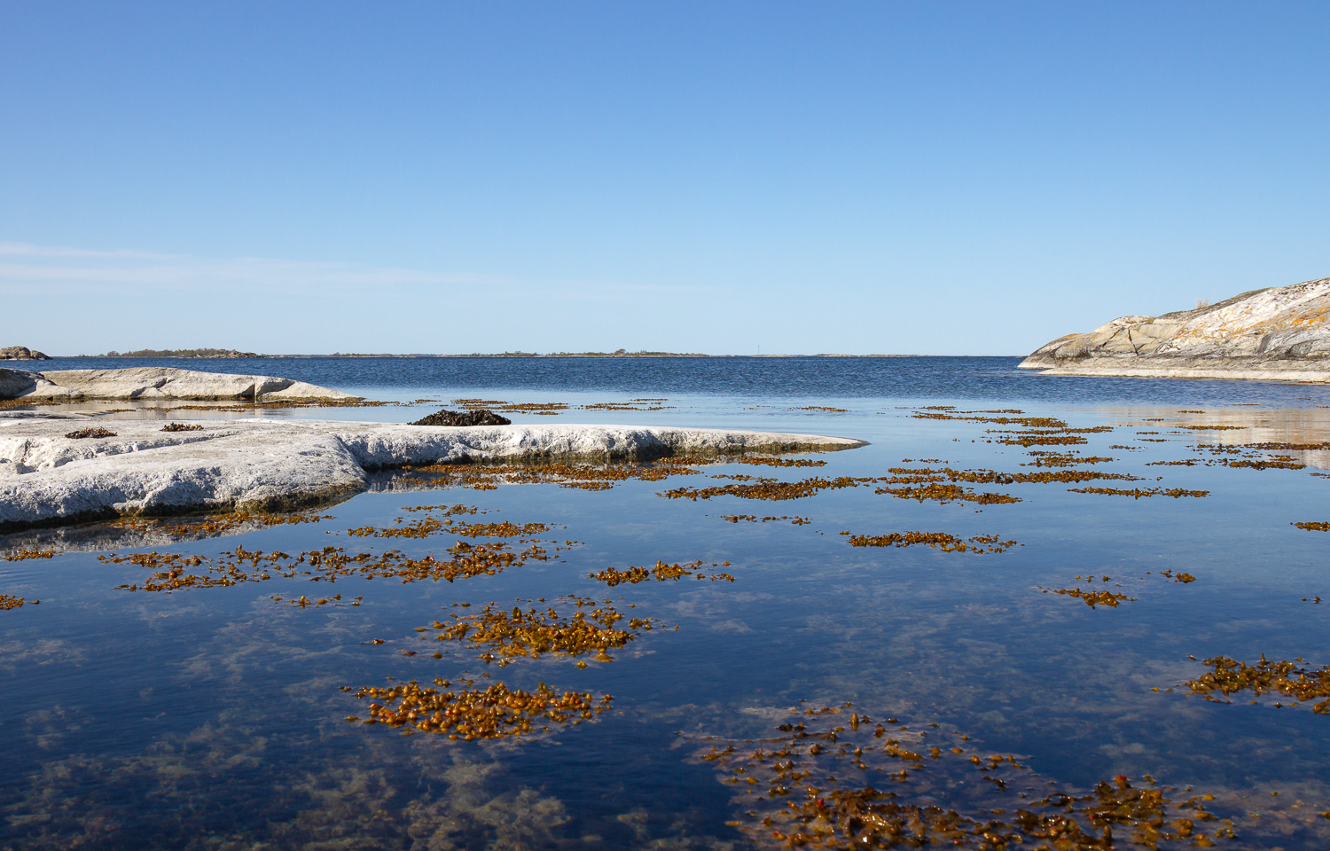 Klippor, hav och tång vid Norrpada, Stockholms skärgård