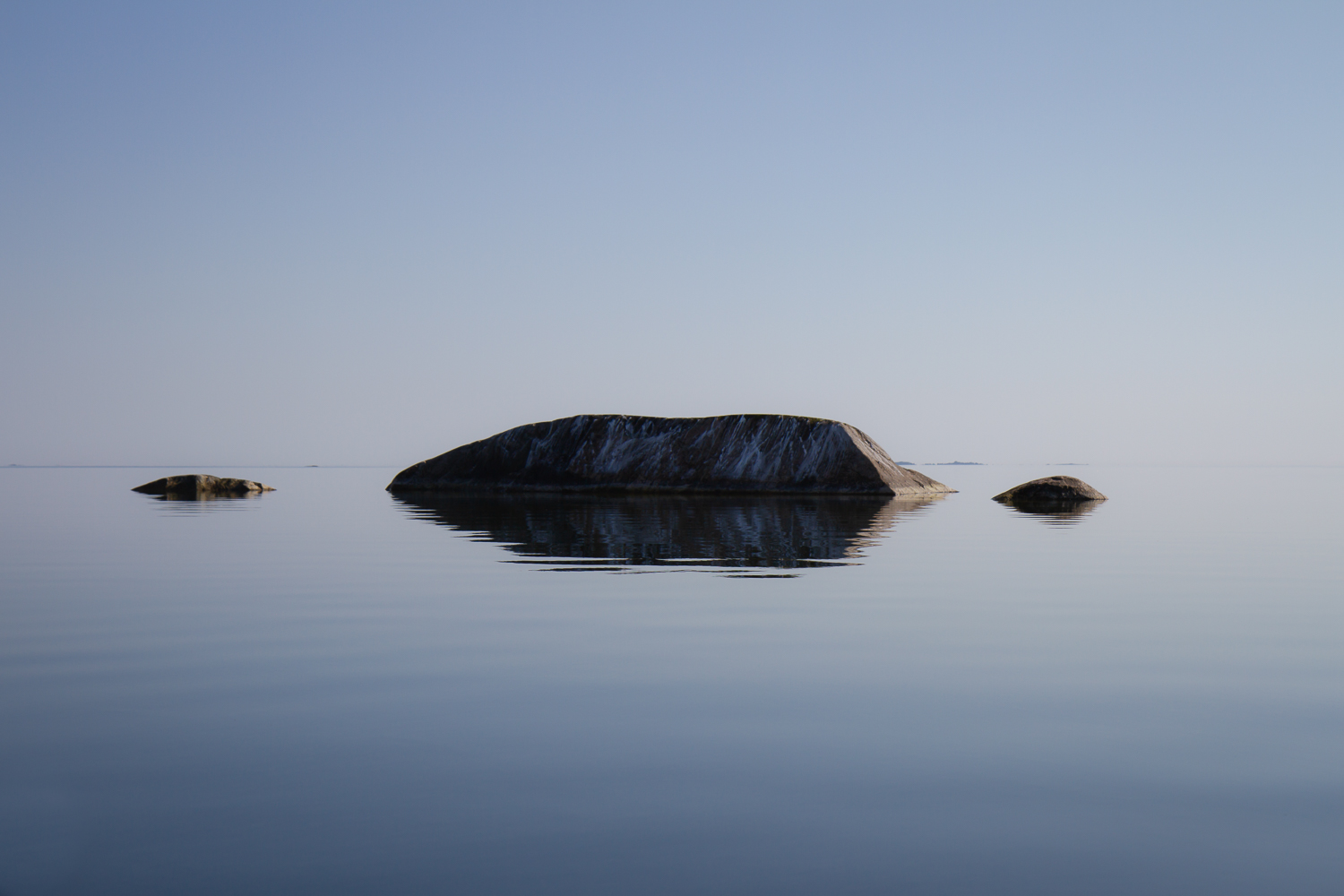 Enslig kobbe i Rödkobbsfjärden, Stockholms skärgård