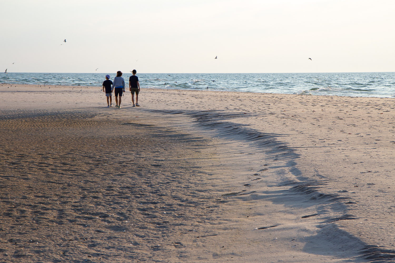 Tre personer promenerar på sandstranden Bredsandsudde, Gotska Sandön