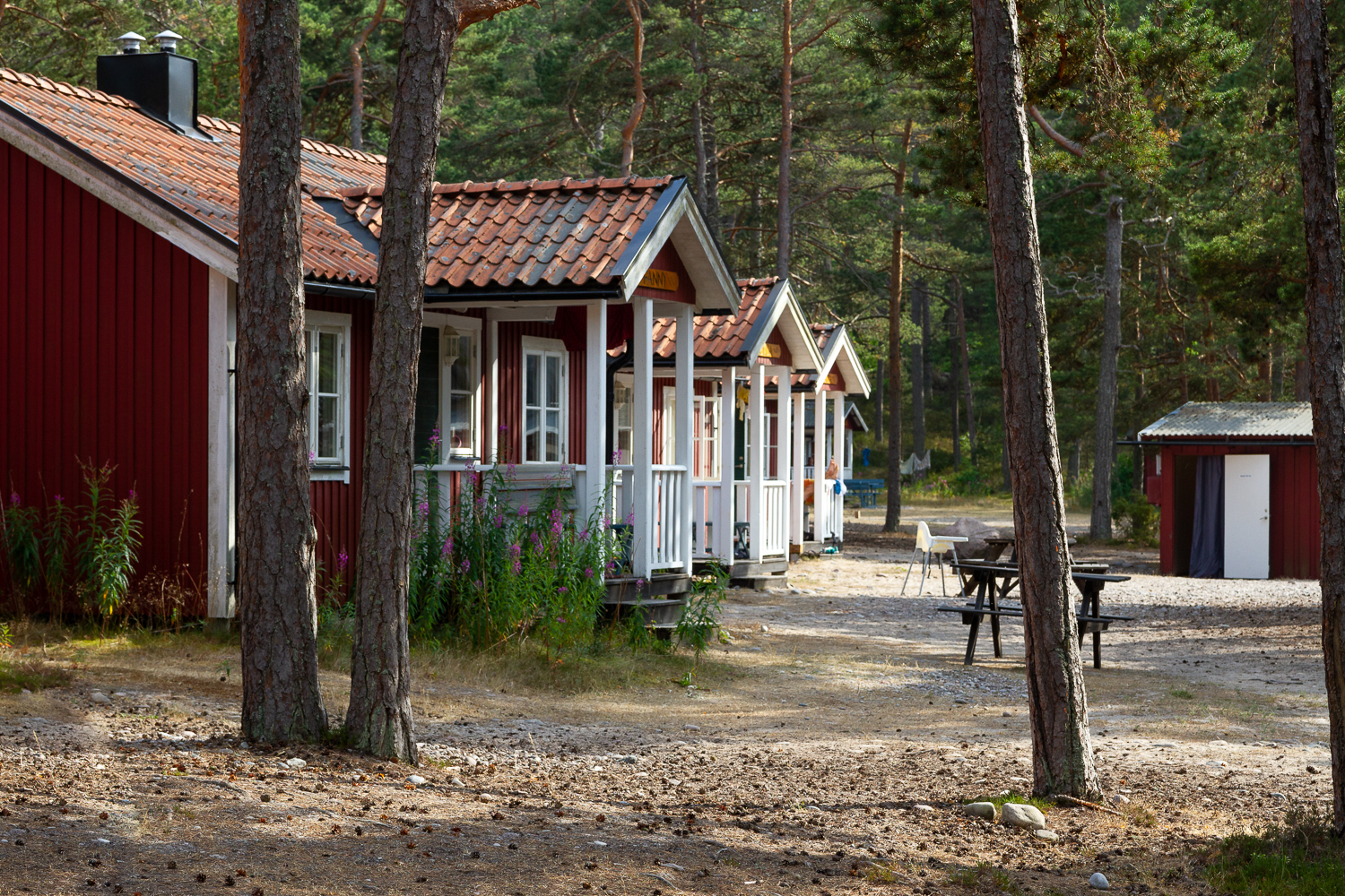 Stugor vid Lägerplatsen på Gotska Sandön