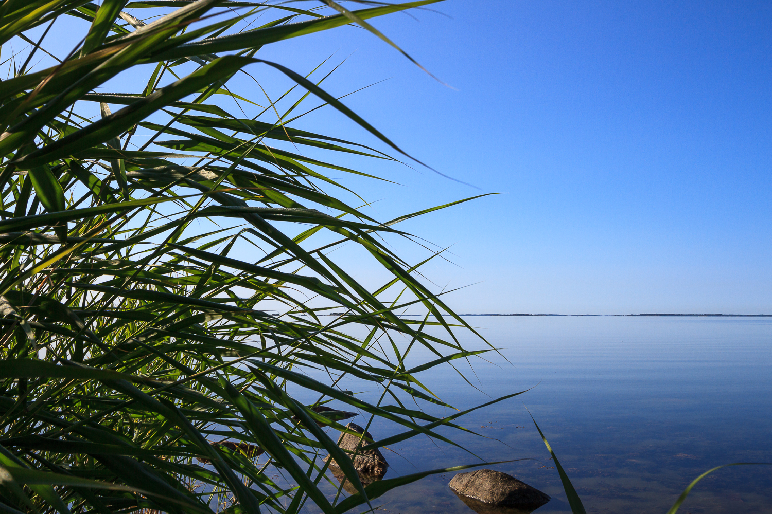 Morgon vid en spegelblank Svartlögafjärd i Stockholms skärgård