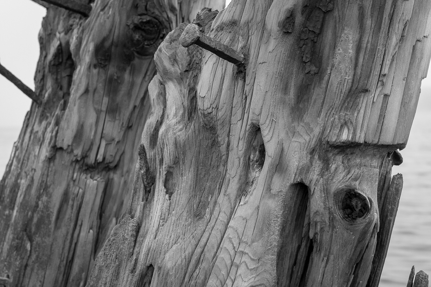 Skeppsvrak vid Husarö, Stockholms skärgård