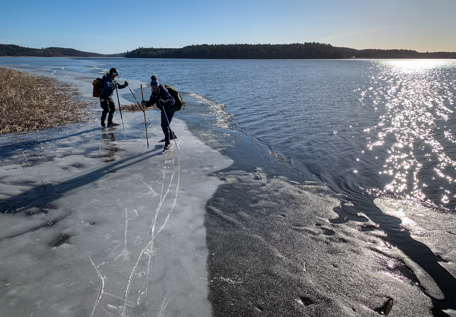 Långfärdsskridskoåkare längs iskant på Mälaren
