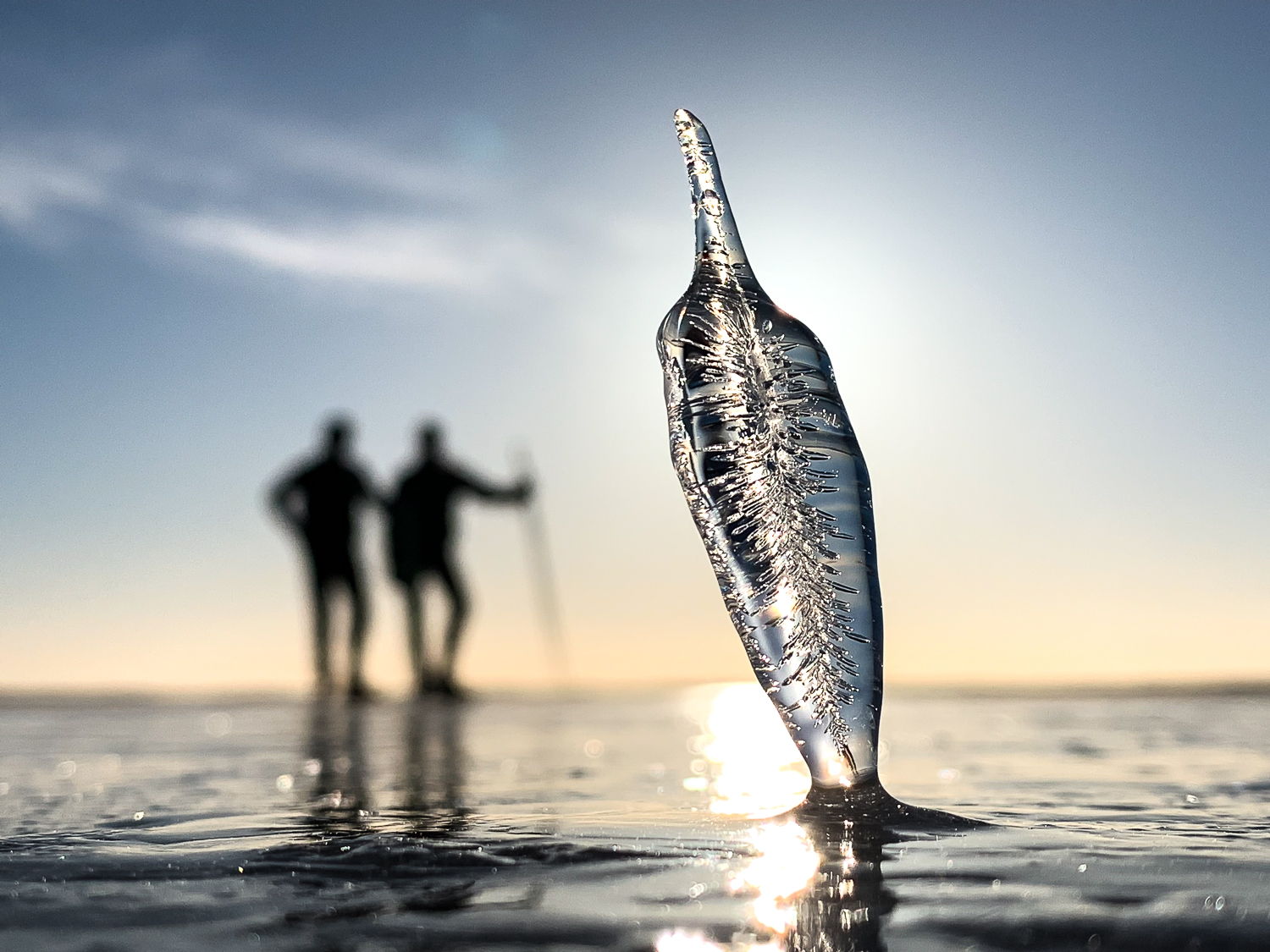 Långfärdskridskoåkare och istagg på sjön Erken, Roslagen