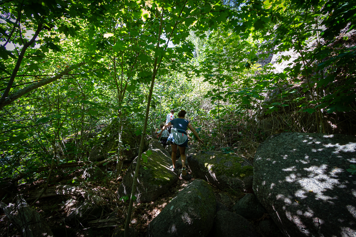 Lövskog i Blå Jungfrun nationalpark