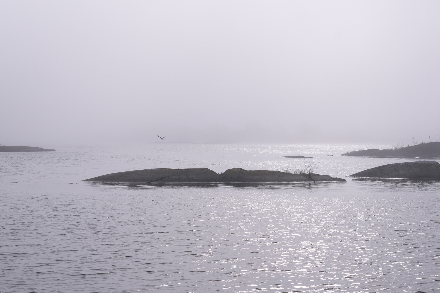 Dimma över Långviksskär