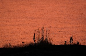 Silhouette i solnedgång, Huvudskär