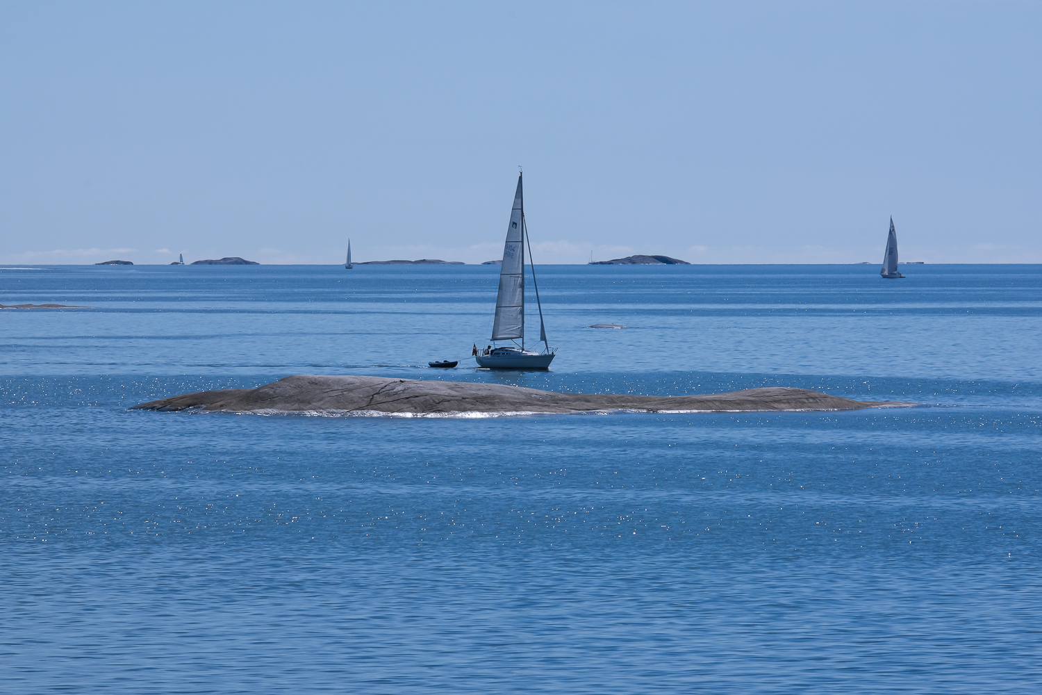 Segelbåtar i Stockholms skärgård