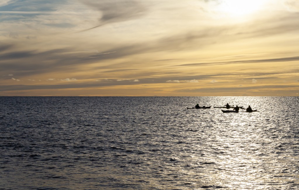 Kajakpaddlare vid horisonten