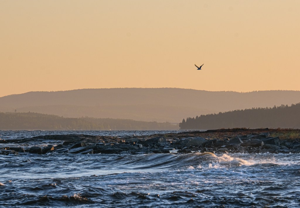 Höga kusten i&nbsp;kajak
