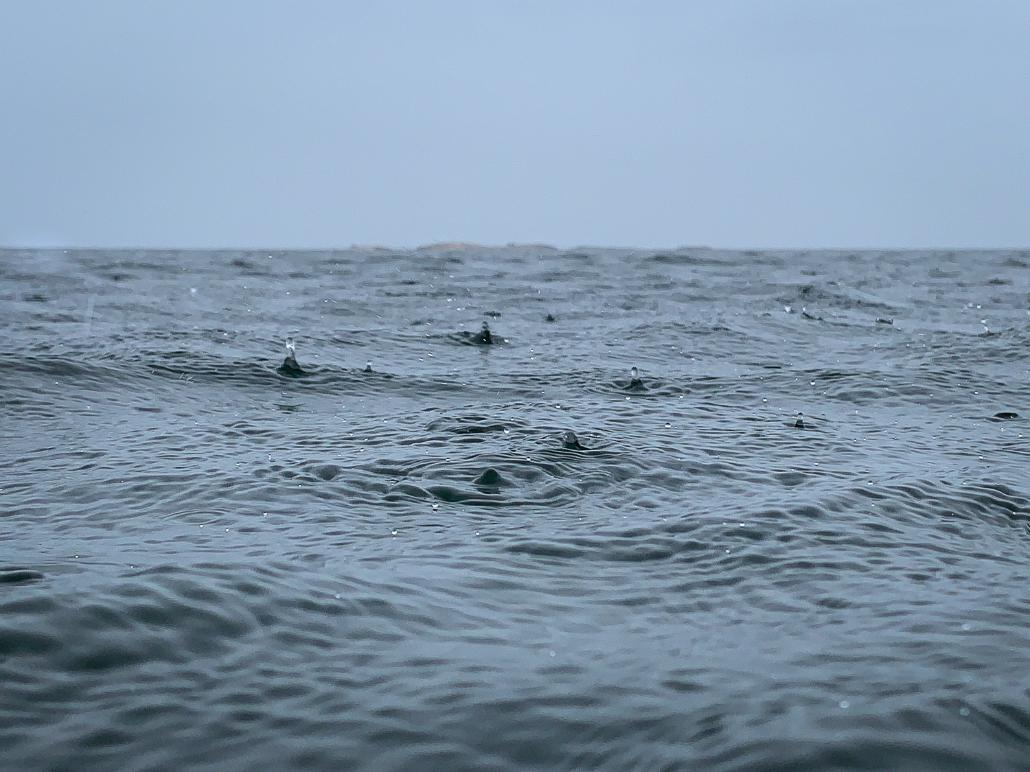 Regndroppar piskar vattenytan en gråmulen dag i Roslagens norra skärgård