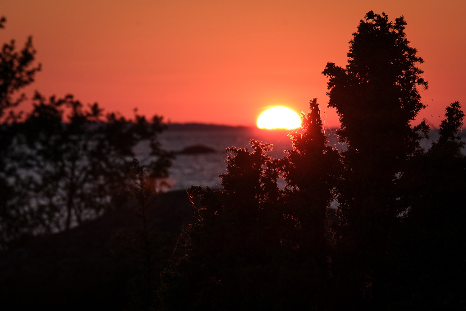 Solnedgång över Fluttuskären, östra Gräsö naturreservat