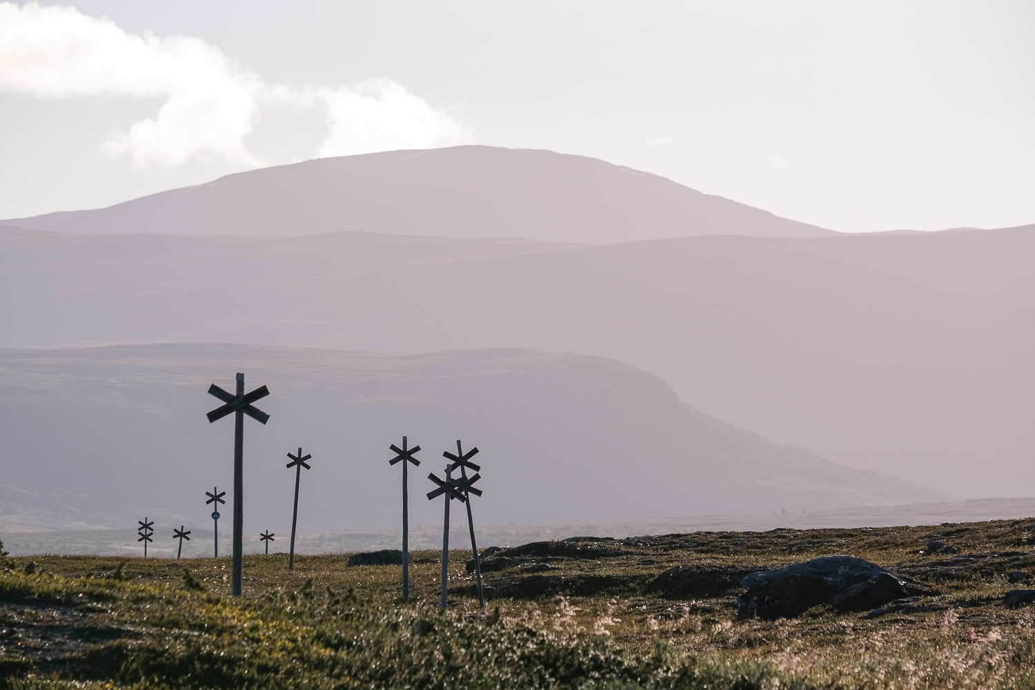 En samling ledkryss i Härjedalsfjällen
