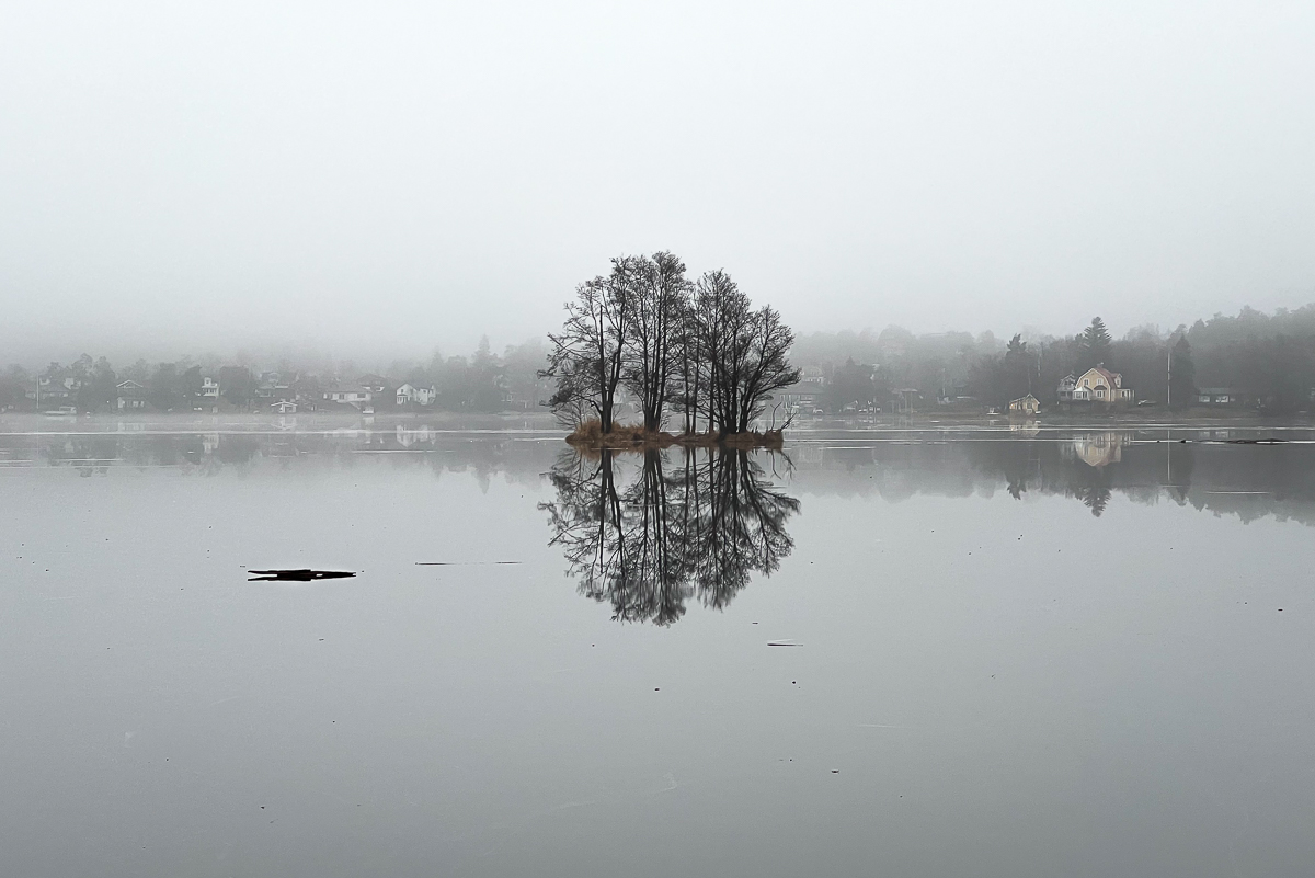 Blankis runt lilla ön i Ältasjön, Stockholm