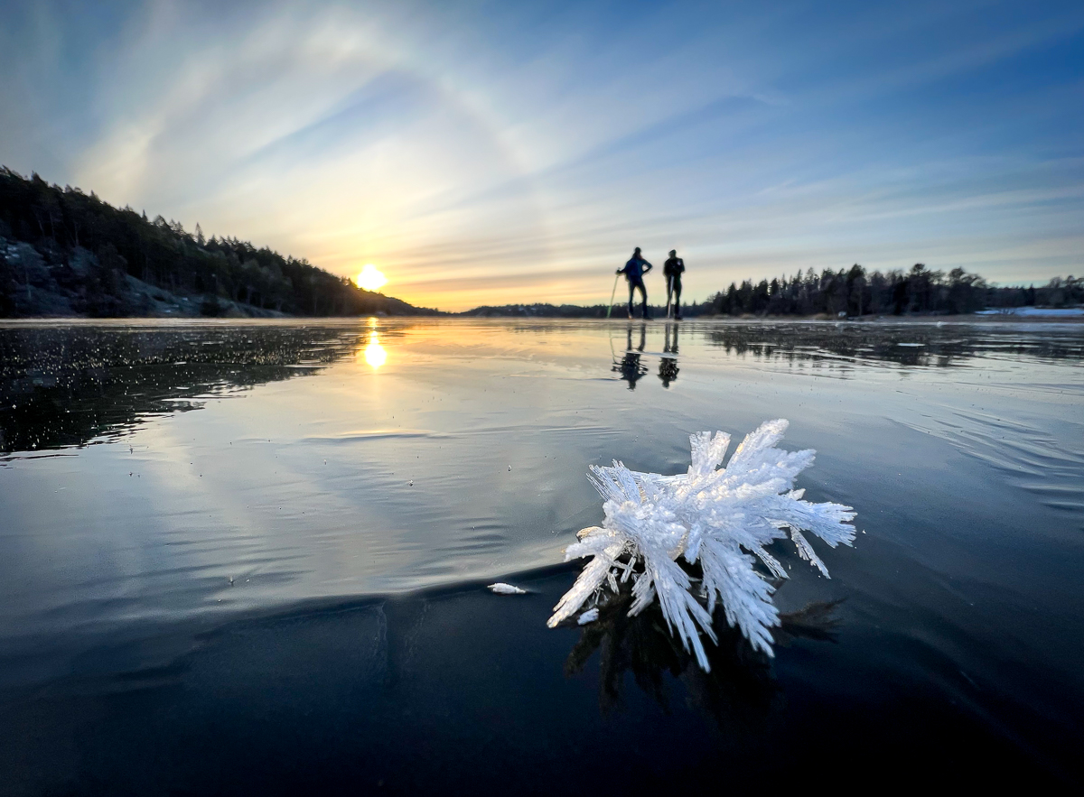 Långfärdsskridskoåkare och frostros i eftermiddagssol på Garnsviken.